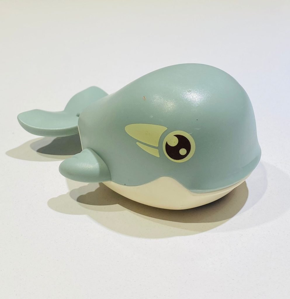 Ballena a Cuerda